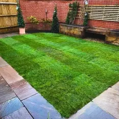 Preparing and caring for new turf